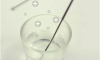 Polarization of water subject to magnetic fields.